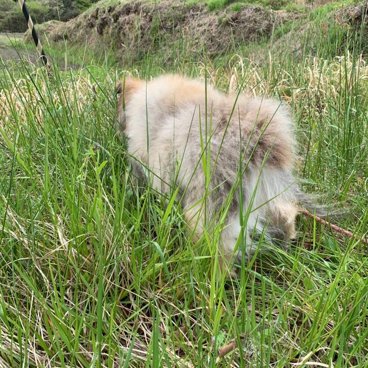 01d9c89e e545 41d2 9759 45b06e78f863 1562537992912