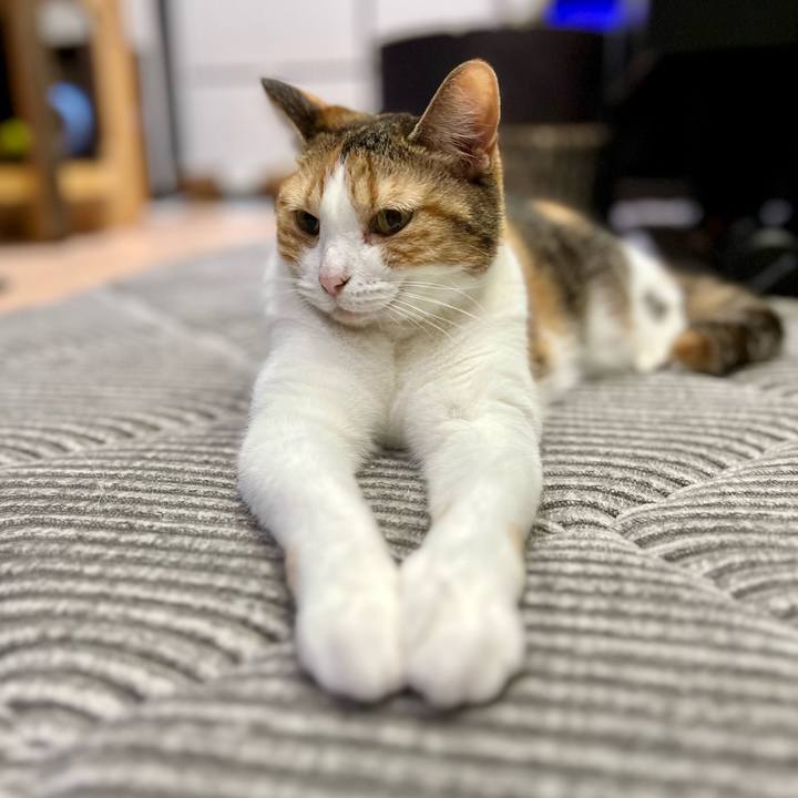 01d9d0c2 cd5c 4ea0 b13f 234c7f9f228b 1759116922285