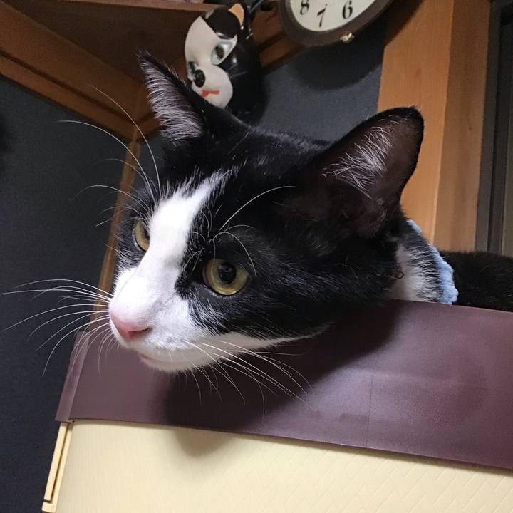 01da25af 0608 4dbb a6d3 69660a67874c 1660996097945