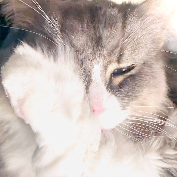 01dab76e d537 4d03 94cc f6f37362d189 1638512726114