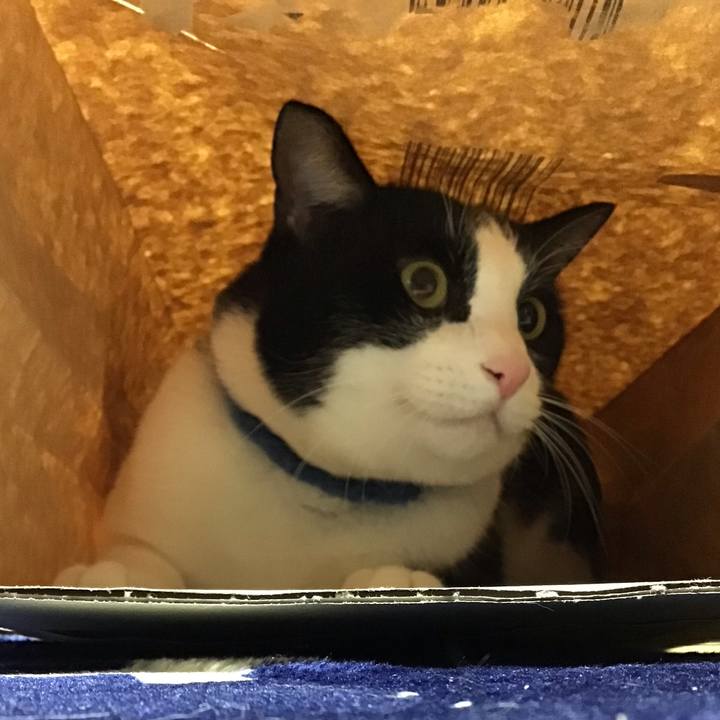 01dae54f 2143 4196 bc98 c712876f507d 1705227185044