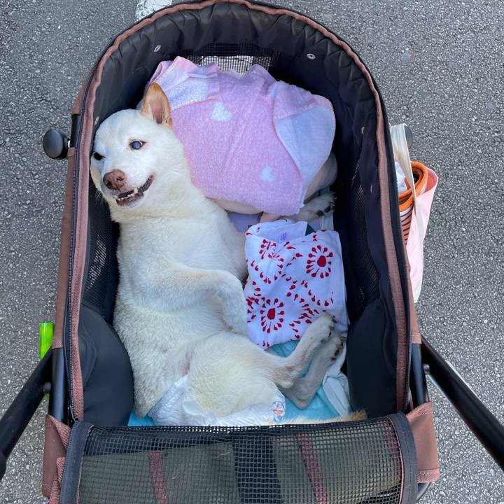 01daec5c 29e8 46ce 842f 4ccaa53d893c 1666088269485