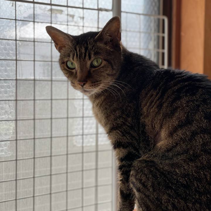 01daeceb 64fe 4df7 aa48 80b37c8078e7 1620525809107