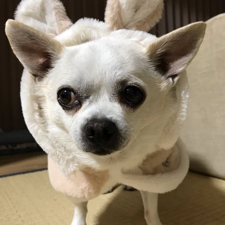 01db59d3 7122 465e a046 b6d85f13b438 1606016534565