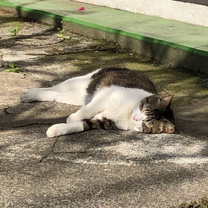 01db6ace f4b7 4773 9291 6bcb9dae3d0f 1524657232500