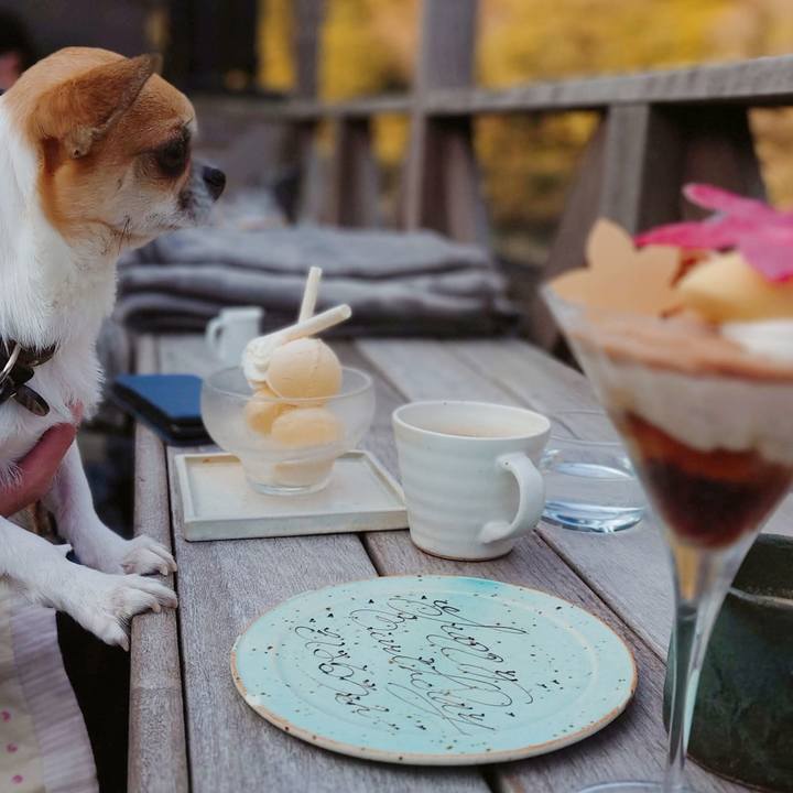 01dba67c dffd 4c1e b5fb 145ae99550c8 1638515740683