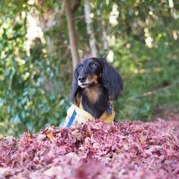 01dc0504 24ab 40ef bec9 898d496b962c 1606713203764