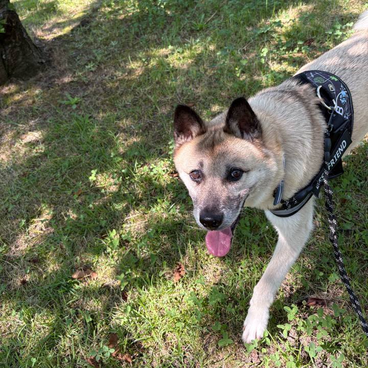 01dc180f eafa 43d2 82a4 6ab40aa2e818 1751197683020