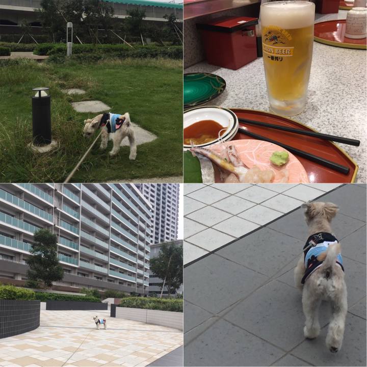 01dc2985 c271 48bf 8be9 088565969e05 1538735625984