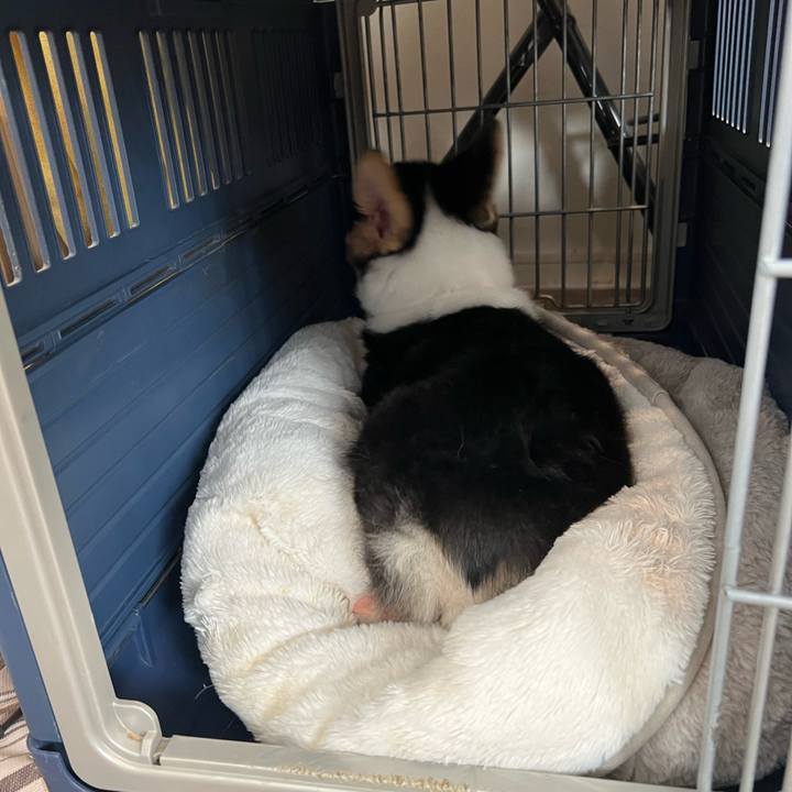 01dc5495 c479 491b b23a af61ba288350 1771641400292