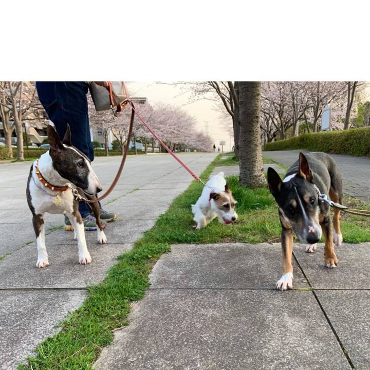 01dca6f4 0016 4384 ab2d 5472d8a15df9 1584877770213