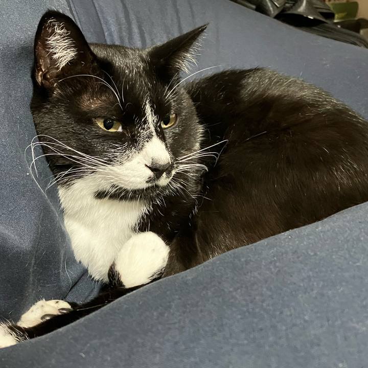 01dcb1cc c1ba 4eb4 bdde 6f070b4f1b2e 1668396388506