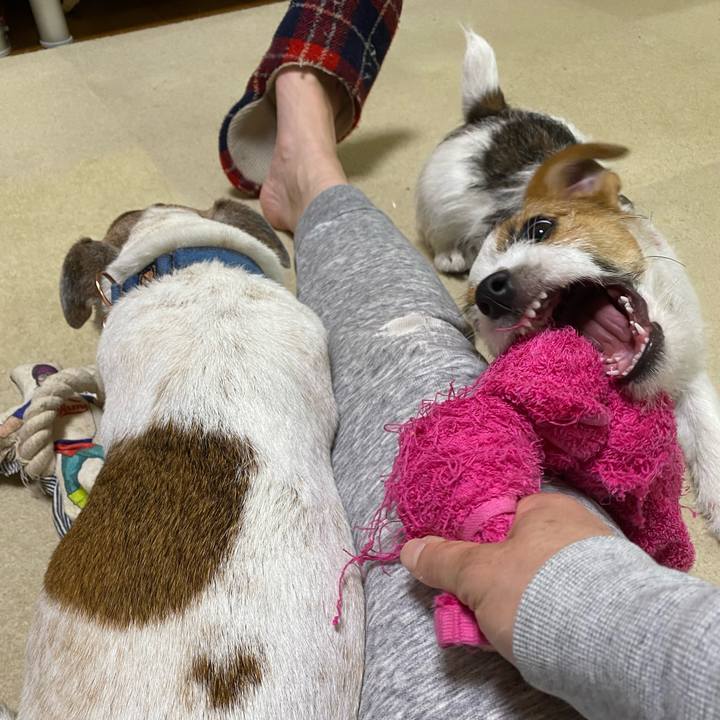 01dcd870 2085 47d3 8f8b d61f577155ba 1617195565334