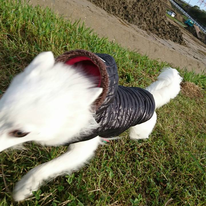 01dce7cb 909b 4495 8c11 495baefe2ebc 1508283230483