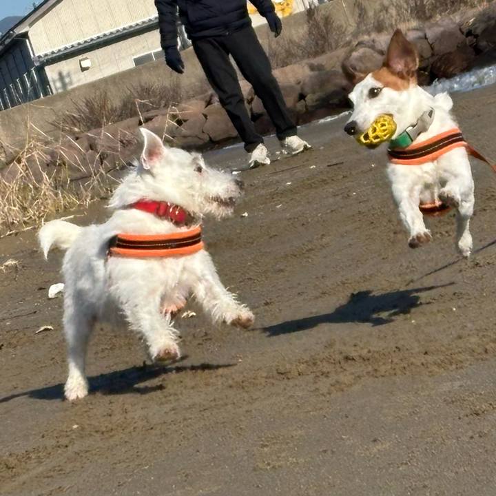 01dcfb4e 4ba8 4590 8e57 94749a519b72 1764413887954