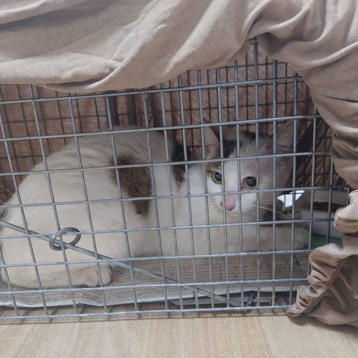 01dd9fd1 270c 4256 8006 087fb0dea5b0 1688546365469