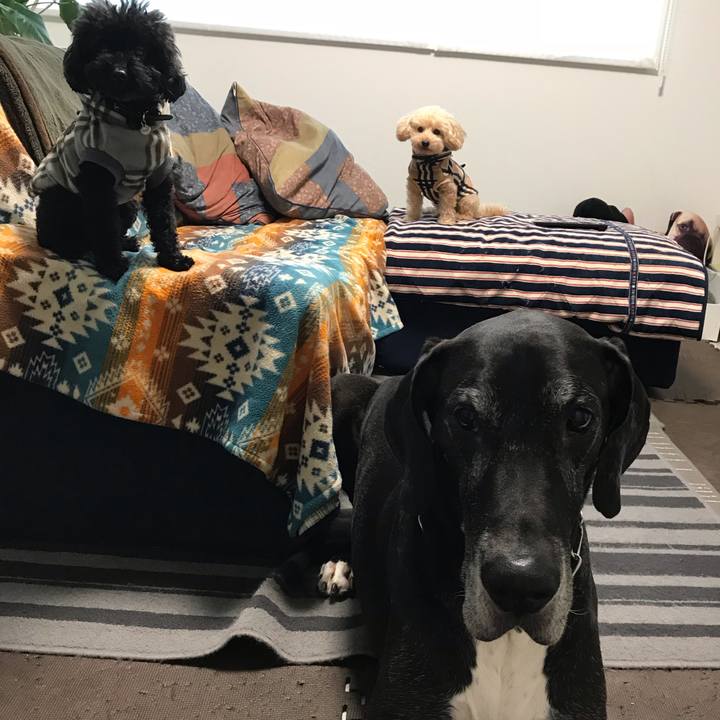 01de36f8 bec4 4372 bb40 7110b8fe71c8 1542148971203