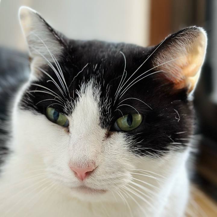 01de374e 1f6c 492b ac65 ea02d31fa0ac 1703903282678