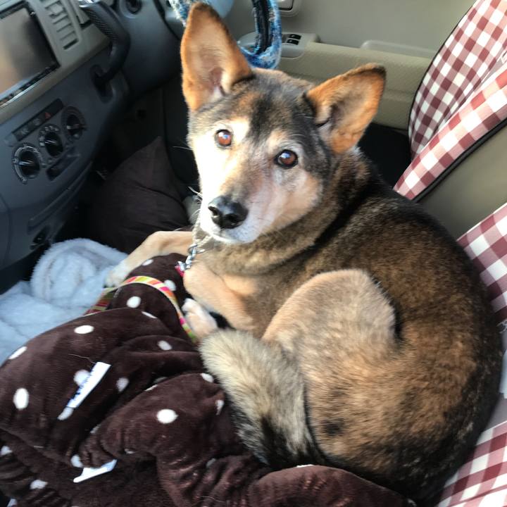 01de6048 e93b 4bc0 81fb 75ec0c9bdcaf 1520669993743