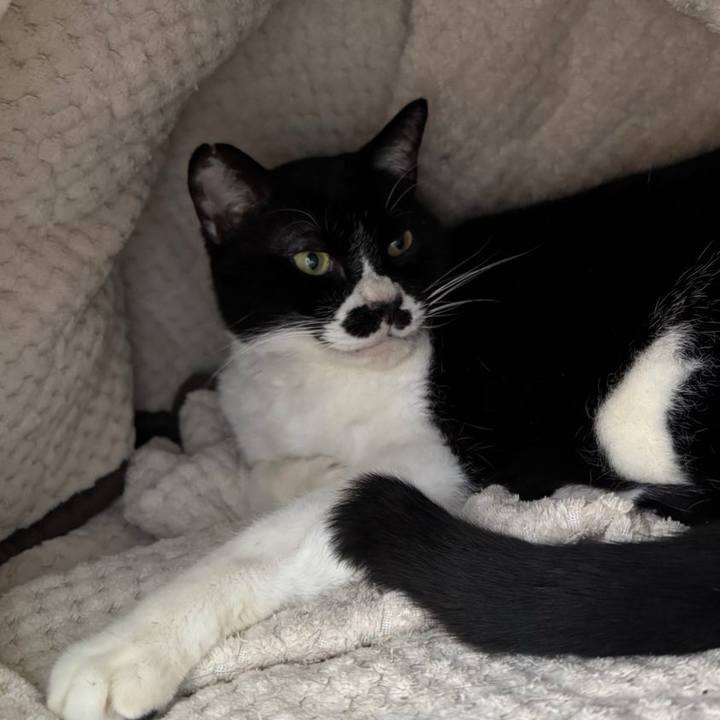 01de7991 45fd 4651 a815 27f0b5f361fc 1740575403435