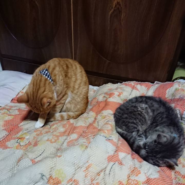 01de9869 80e1 4295 bcd3 02d57f050a9e 1570359065701