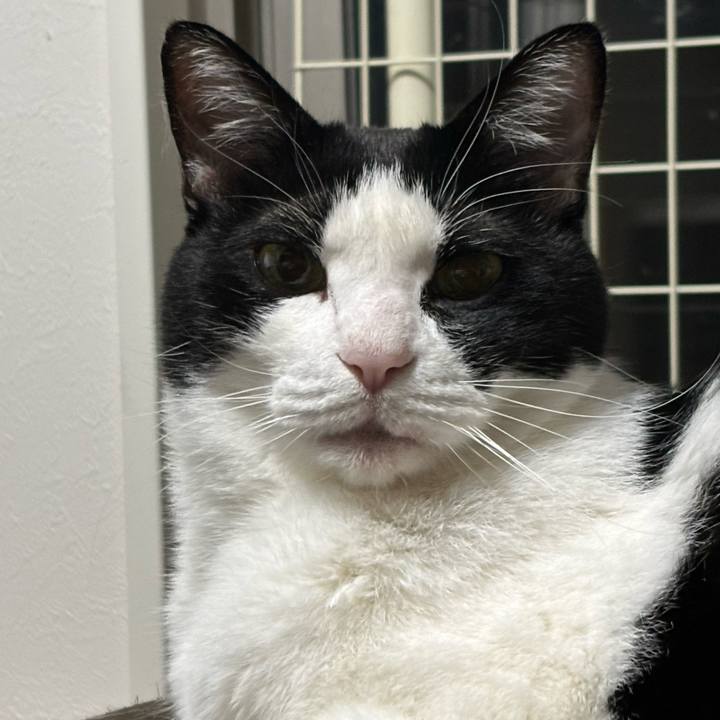 01dec0b0 9741 4efa 911c 508d69eea6b8 1768946582608