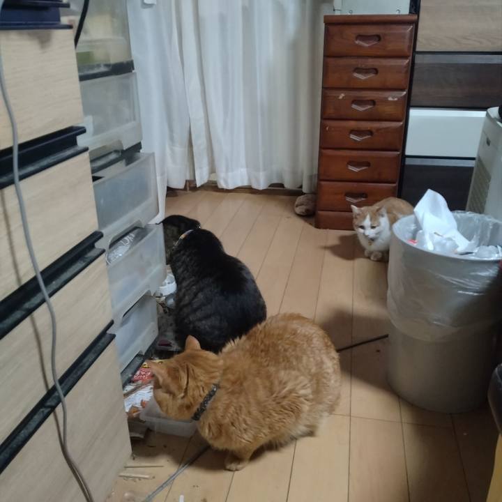 01def8ef 41d2 4d65 8175 6024a800ec9c 1736495653859