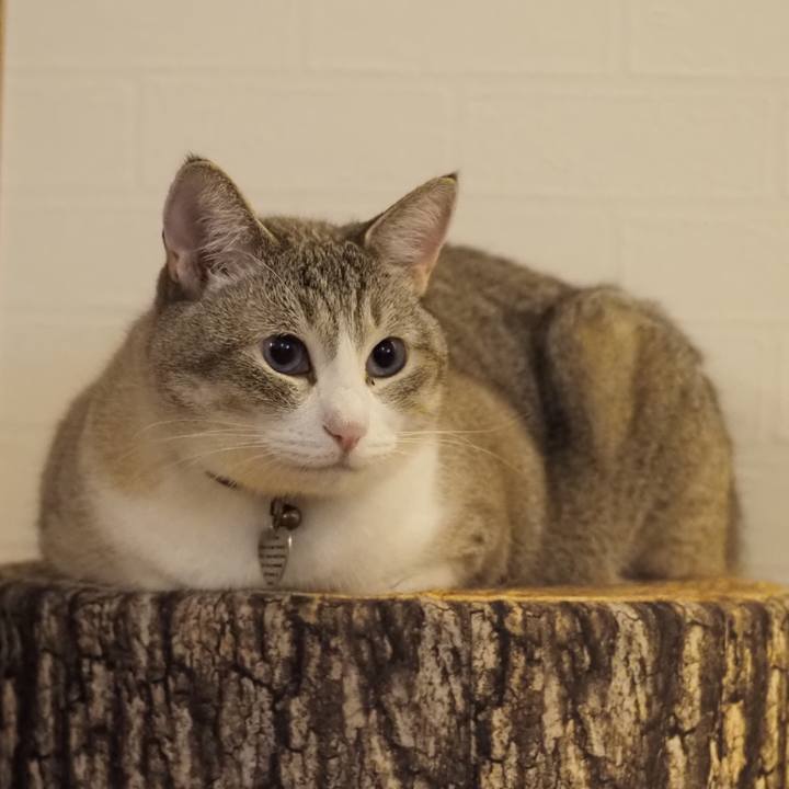 01defba1 8cab 4201 a4cc 08cf899acc04 1625318783541