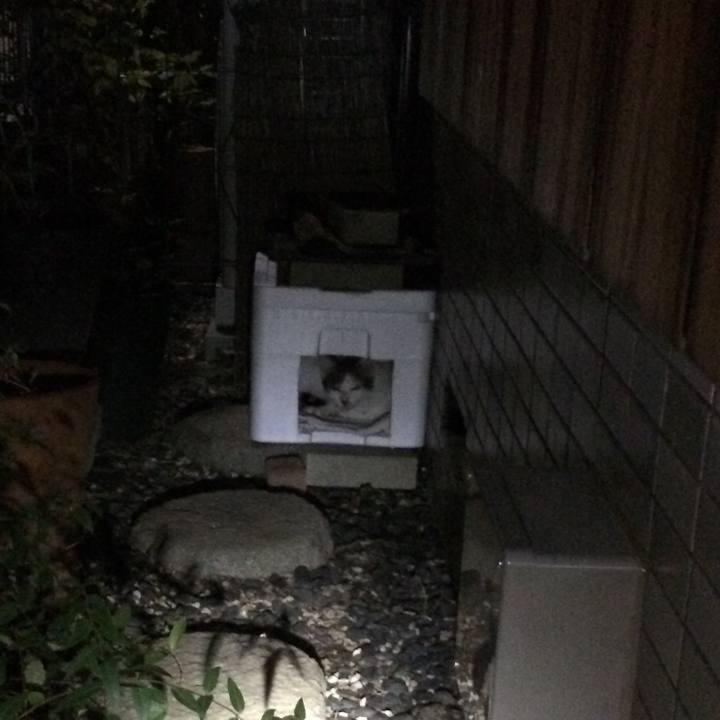 01df1c60 543c 4ac5 b274 89db28849f74 1574473570468