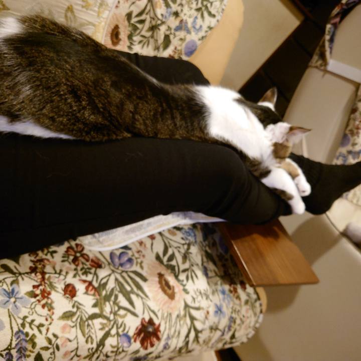 01df3761 5c46 4de2 9215 4365cb32642b 1770528197603