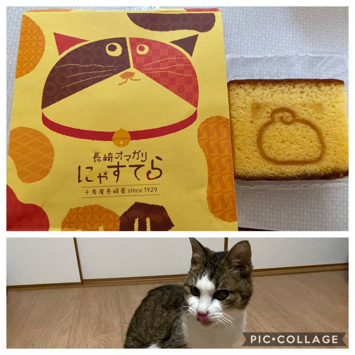 01df3935 2890 4f9a 9b19 4d77c92acf1b 1573383606091