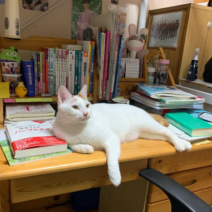 01df3bf2 3261 4fb7 adc0 b9cfa3c96c57 1576360579562