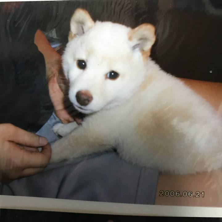 01df4583 3086 47d9 a8d6 e4ce7dcfb739 1633958868918