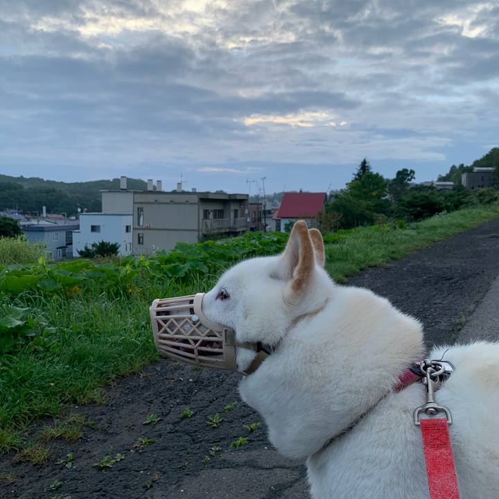 01df4cfc d894 434d 85b9 449d6ed12752 1599252777614