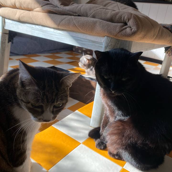 01df7423 ce5a 44cd a18c 46a06736ca1a 1704502069062