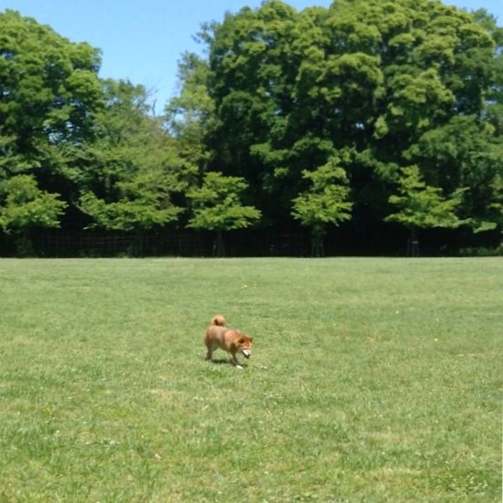 01dfd658 1699 4206 b2c7 a9808bc097db 1524718817212