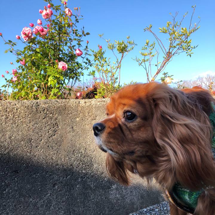 01dffda9 4940 4036 8703 384b55ef8910 1608424703637