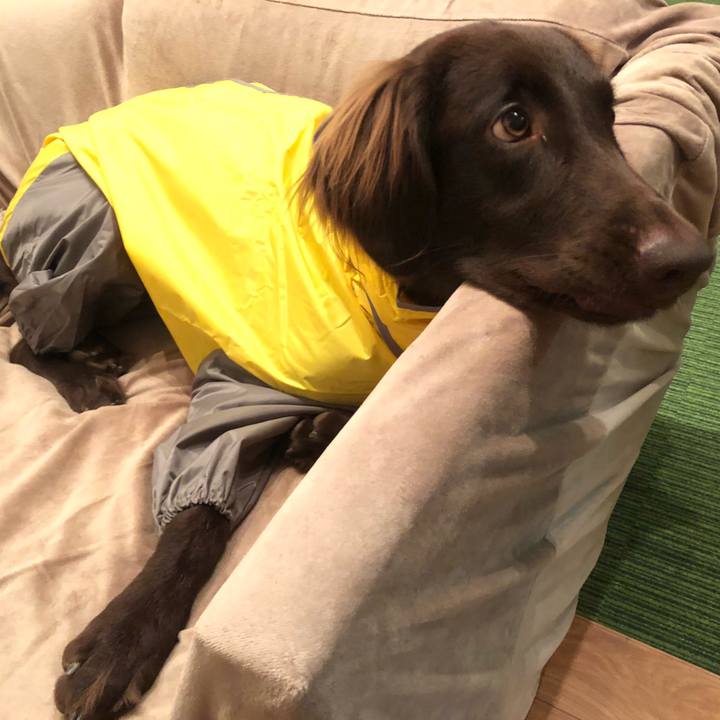 01e036a7 e5d9 48e9 85f0 72283178bdd7 1572123809464