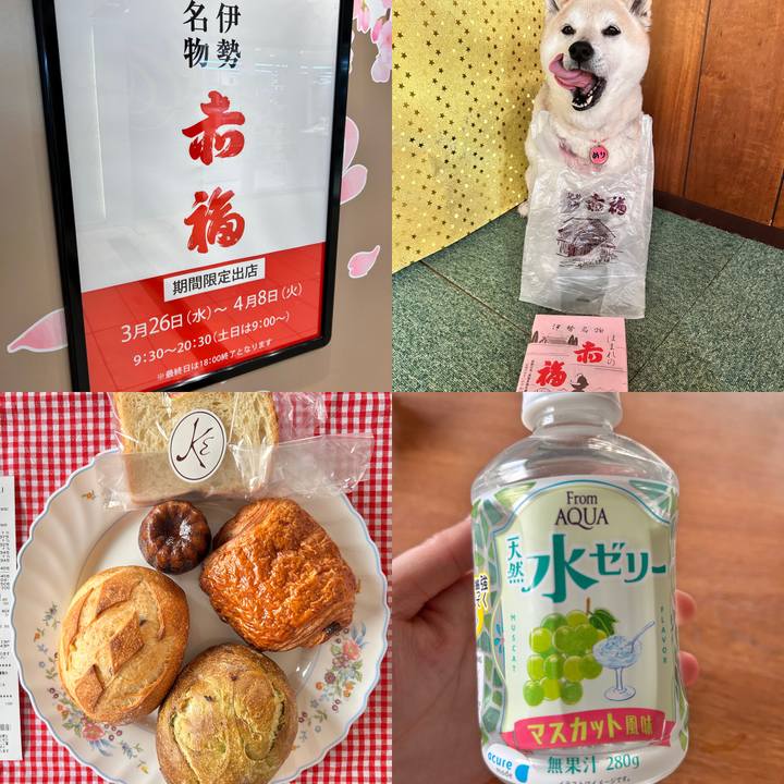 01e06fff 8009 460e 9551 a6f56def0a74 1742974341423