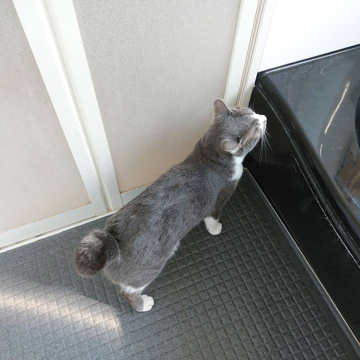 01e0a209 f5e5 4304 a201 79bd4ac1d1ba 1649485596668