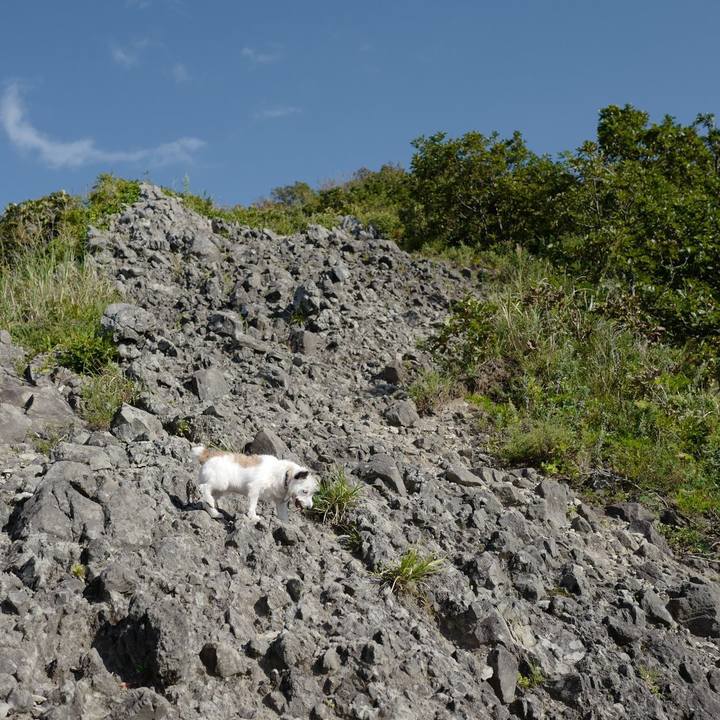 01e0b0d9 4318 486d b2ca 265dd514077a 1568955614510