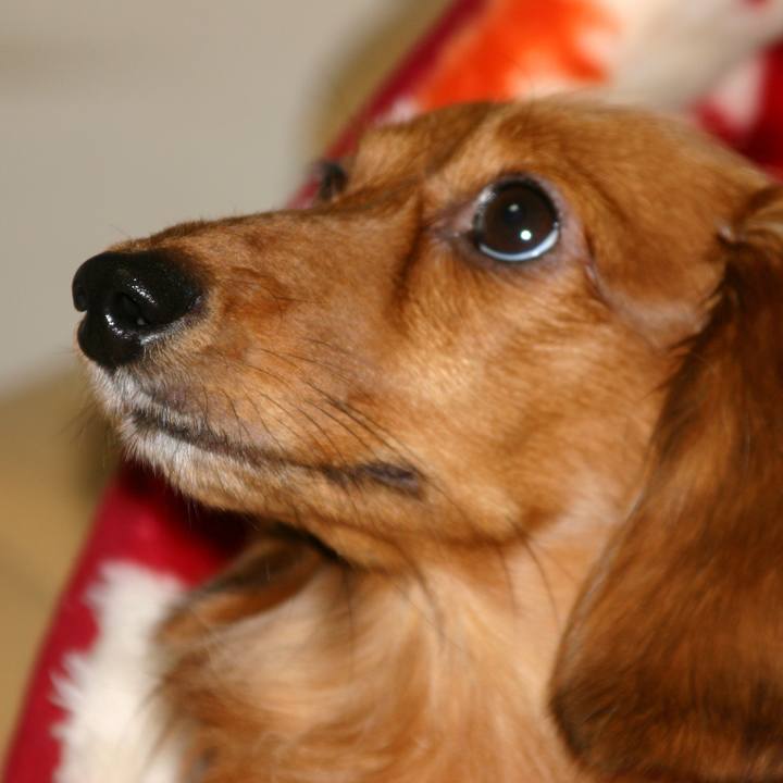 01e0cbc1 4b11 4310 b5b3 34986ed3ed09 1530378615160