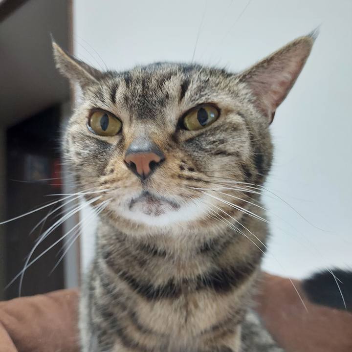 01e15ebc 86d6 4b2c 8d43 4da24ad0f403 1646517452306