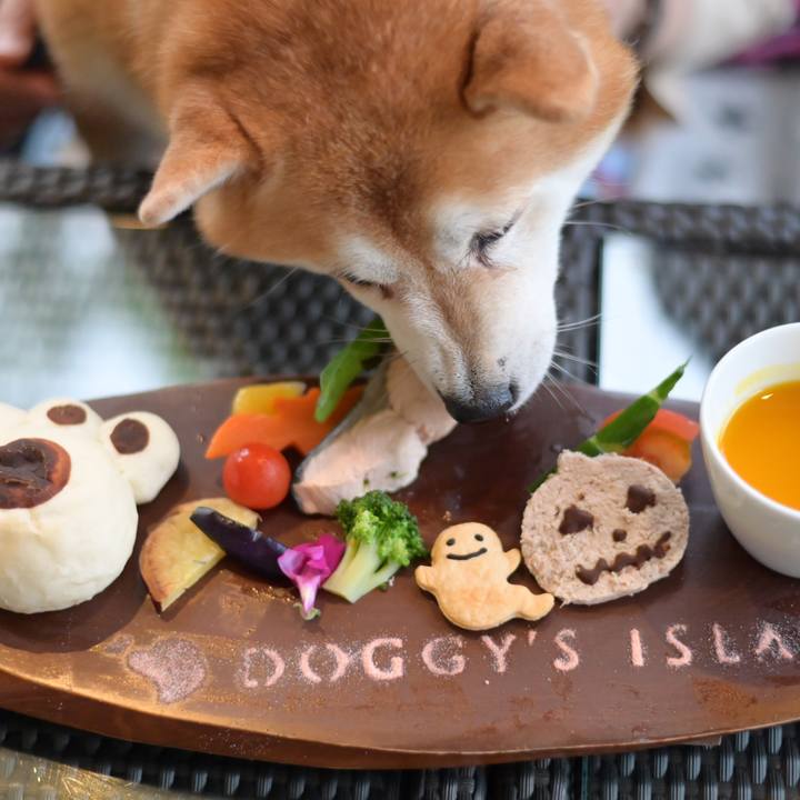 01e1646a 3c42 41df b307 c16d35a30482 1634385197351