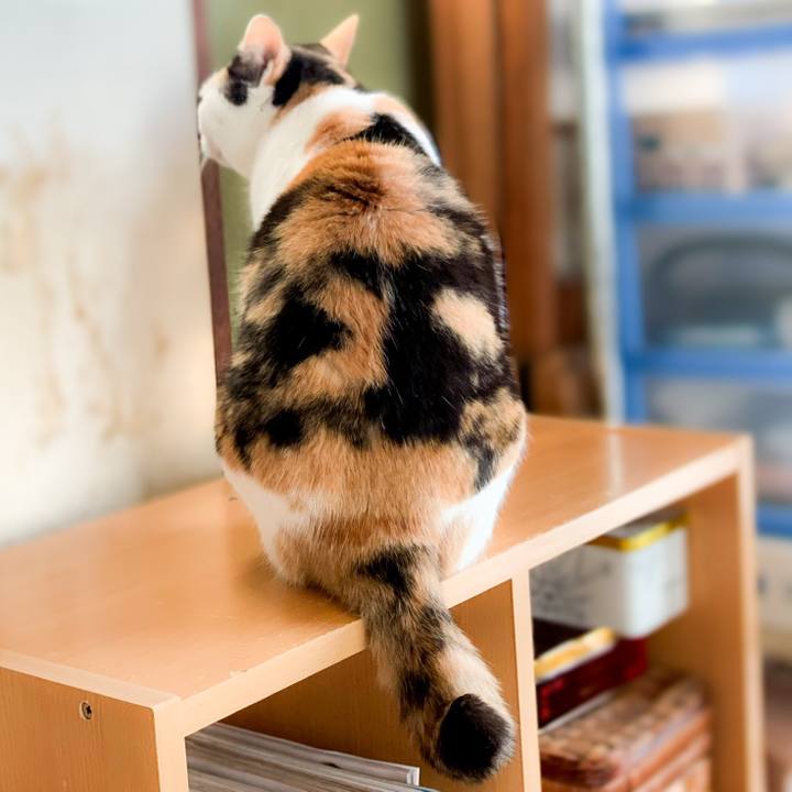 01e183b5 ef36 476e 9e7b 8737c603cb4a 1587347422110