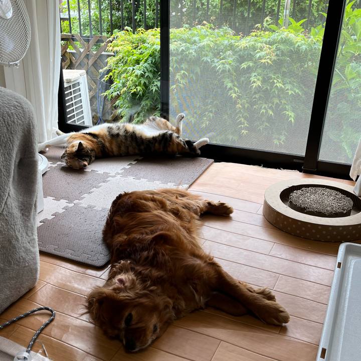 01e1b25c 0105 4b46 8494 b6abc74b2f47 1682812495882