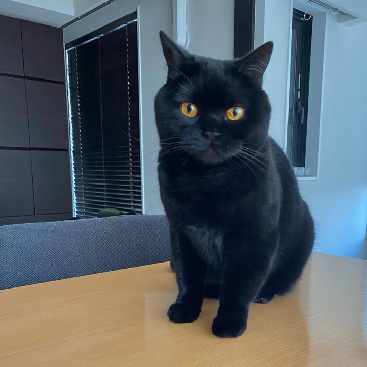 01e1b3b6 1e8c 48ac 84cc 60014544ac50 1615506431988