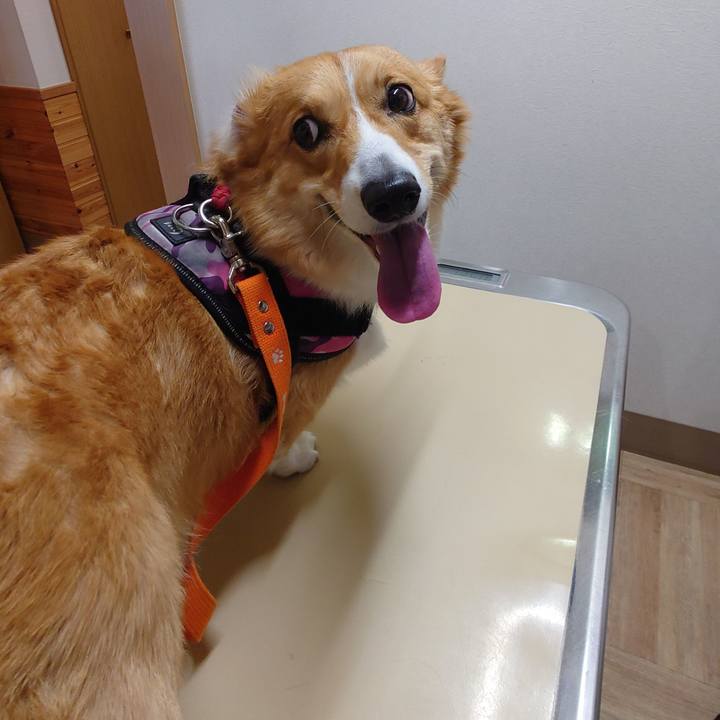 01e1bfce 758e 4281 8ffe e2b069a65698 1768631166999