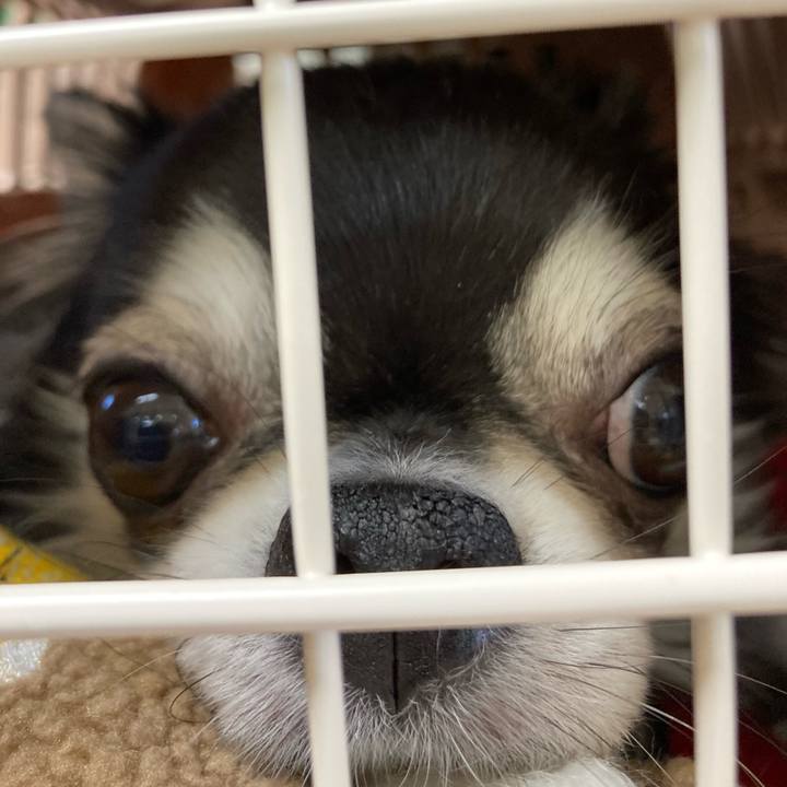 01e20f16 2eec 48fa bf9e b9d97f0c12fd 1707308119806