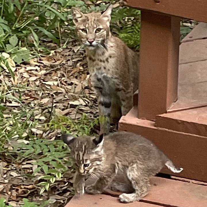 01e218c5 d097 4752 8685 852902eaa013 1719027147778